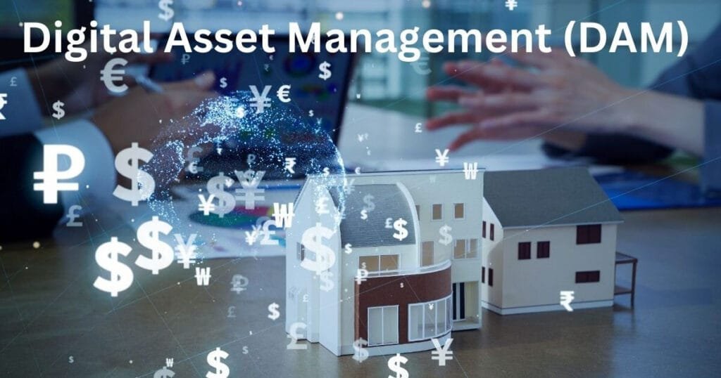 Digital Asset Management